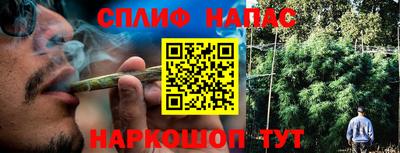 спиды Будённовск