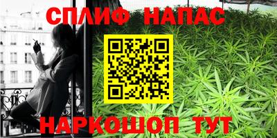 спиды Будённовск