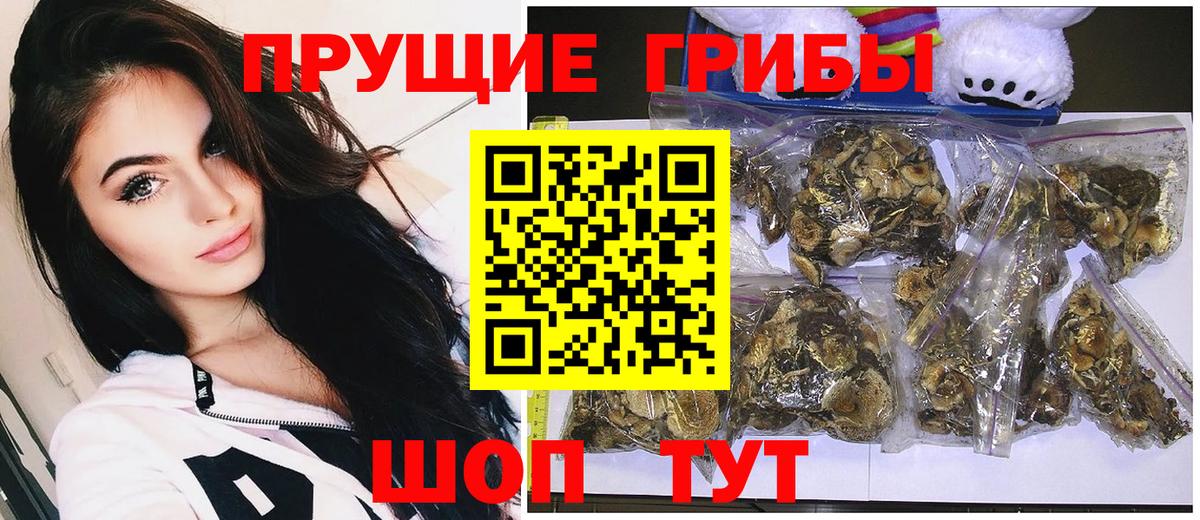Псилоцибиновые грибы прущие грибы  Вход с VPN  Надым 