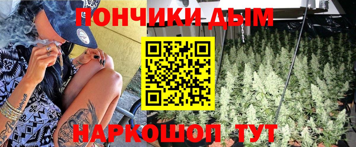 Каннабис план Надым